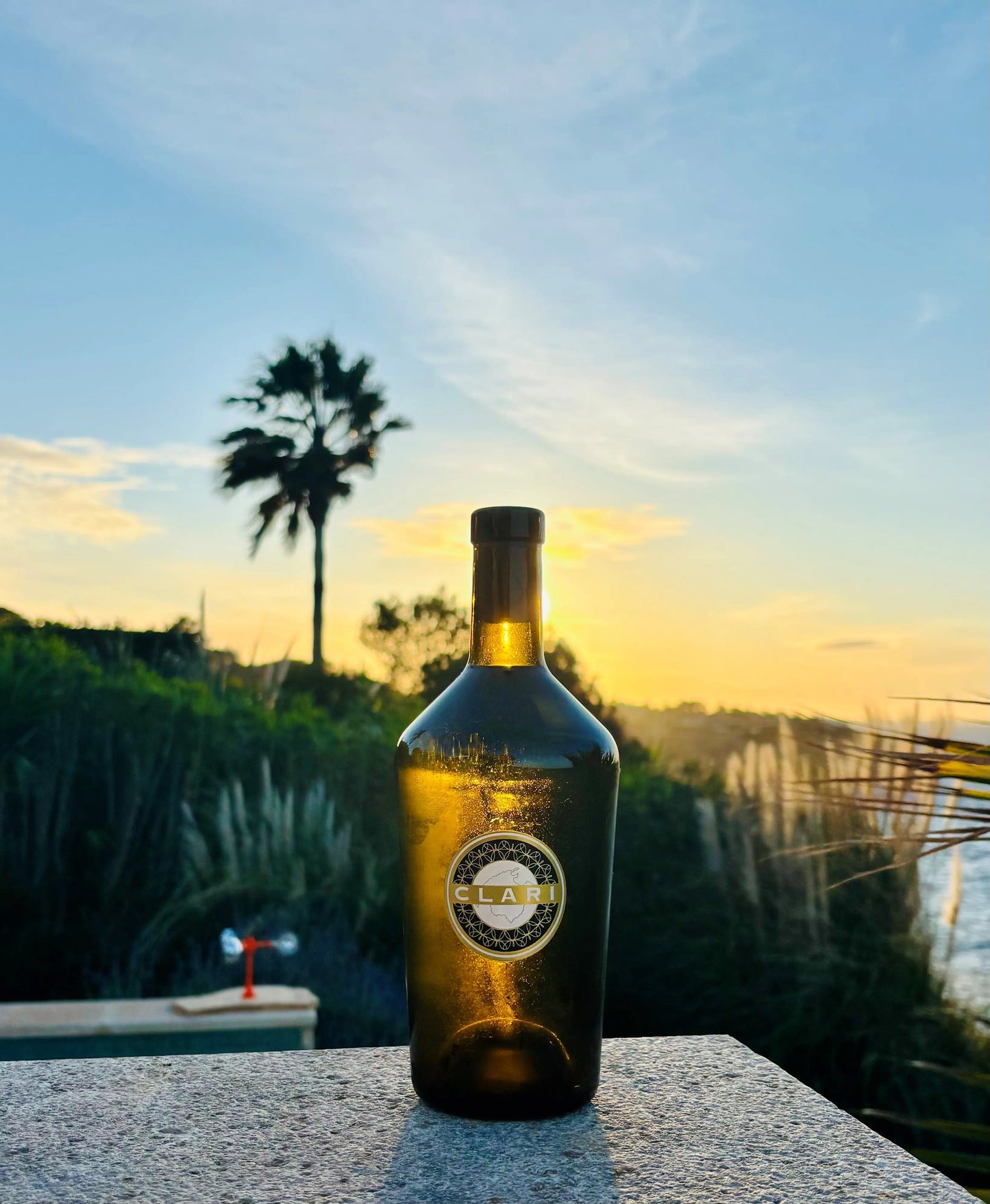 Mallorca - handgelesener CLARI Vino Blanco/ Weißwein 2024 Bodega CLARI Mallorca