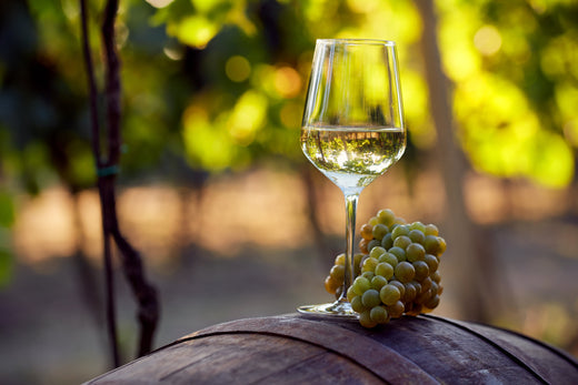 Bodega CALRI 2024